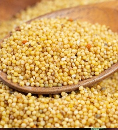 Foxtail Millet
